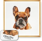French Bulldog Cross Stich Kit Trimits Frenchie GCS107 36cm x 36cm