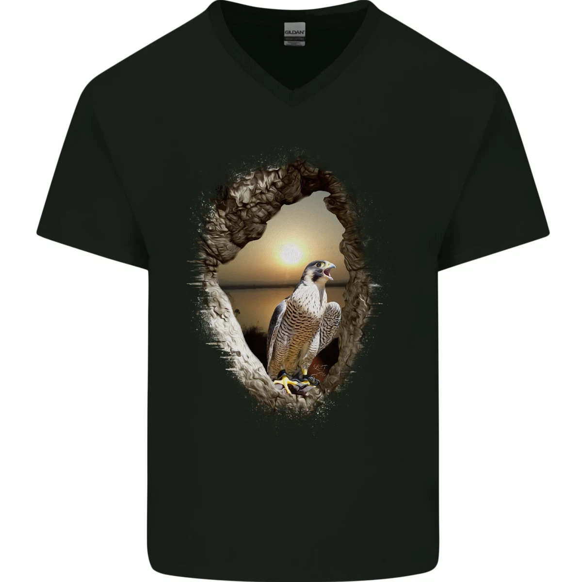 Peregrine Falcon Birds of Prey Mens V Neck Cotton T Shirt eBay