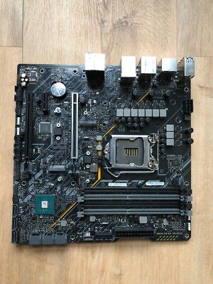 Asus B560M-Plus Mainboard