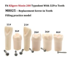 10Pcs Kilgore Nissin 200 Typodont Dental Replacement Screw-in Teeth Model M8025