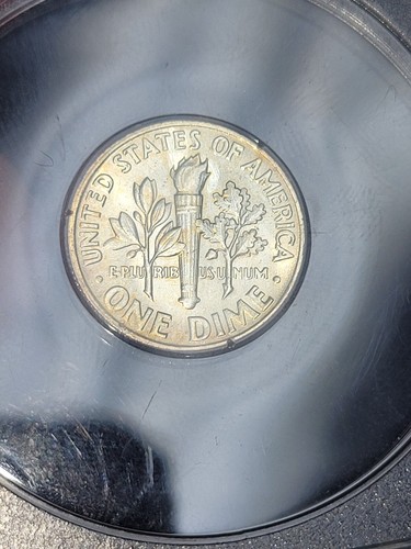 1964 Silver Roosevelt Dime PCGS MS64 Sample Slab Rattler - Picture 6 of 11