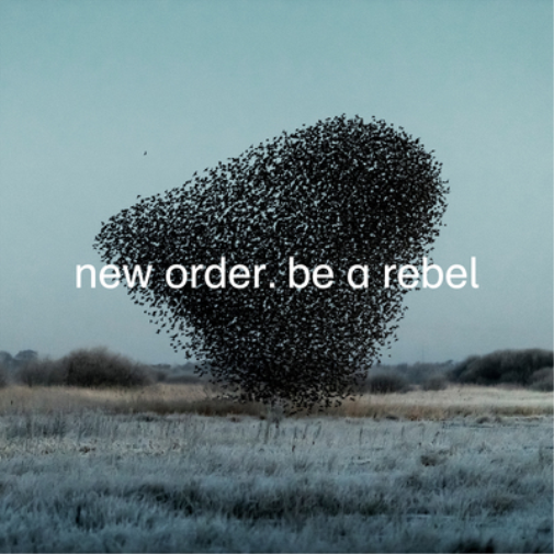New Order Be a Rebel (Vinyl LP) Limited  12" EP Coloured Vinyl