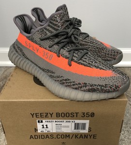 beluga 1.0 s