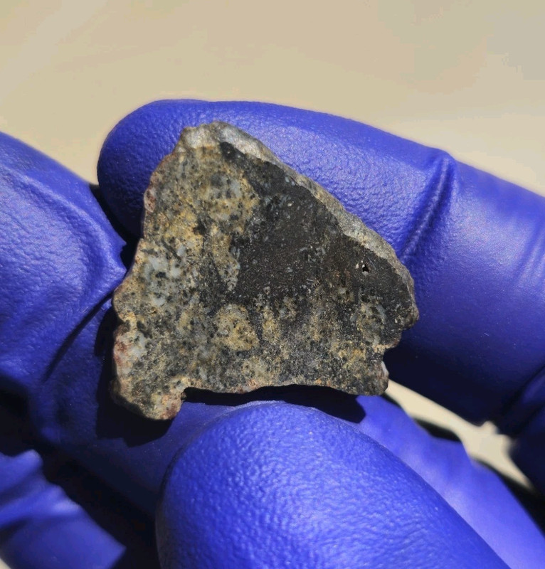 NWA 13636 Eucrite Unbrecciated Meteorite 1.476g Full Slice Rare w/ COA 