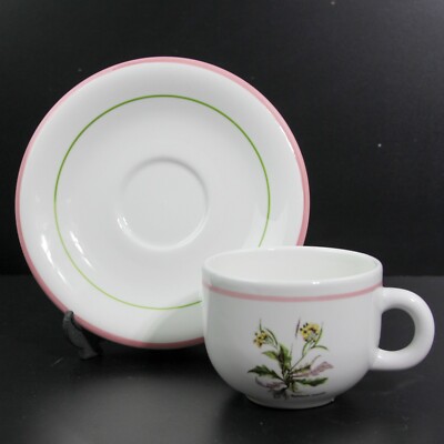 BEAUTIFUL PRIMULA ITALY FLORAL DIPLOTAXIS MURALIS PATTERN TEACUP & SAUCER PAIR