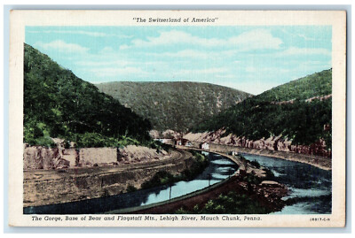 c1930's The Gorge, Base of Bear and Flagstaff Mts. Mauch Chunk PA Postcard