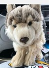 GANZ Signature Timberwolf Webkinz & Lil 'Kinz Animals without Code