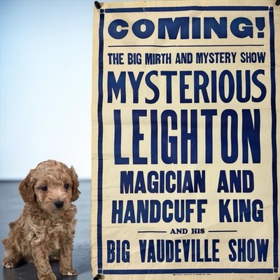 Vintage Magician Handcuff King Vaudeville Magic Show Poster Broadside Sign Actor