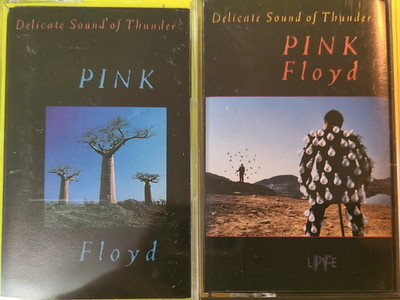 PINK FLOYD ~ Delicate Sound Of Thunder ~ 2 Cassette Tape Set in Canada Tested