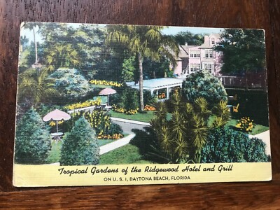 Tropical Gardens of the Ridgewood Hotel and Grill Daytona Beach Florida Postcard