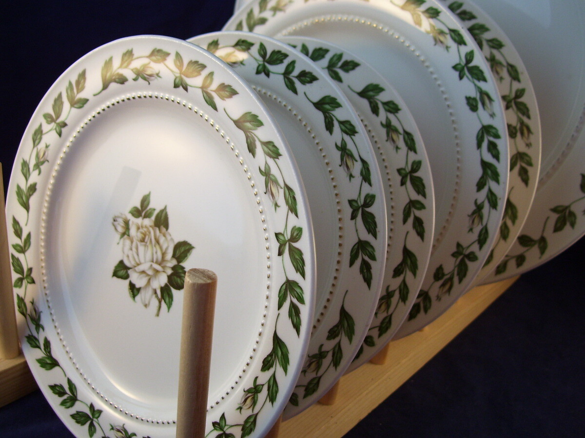 Superior Hall Cameo Rose 6pc Plate Lot Mary Dunbar Quality Dinnerware