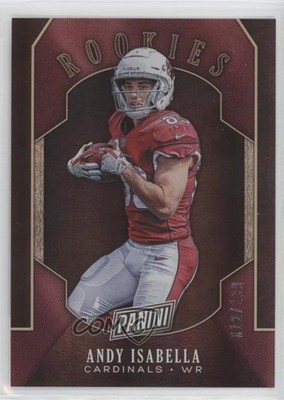 2019 Panini Black Friday Rookies and Prospects Holo 12/199 Andy Isabella RC z6b