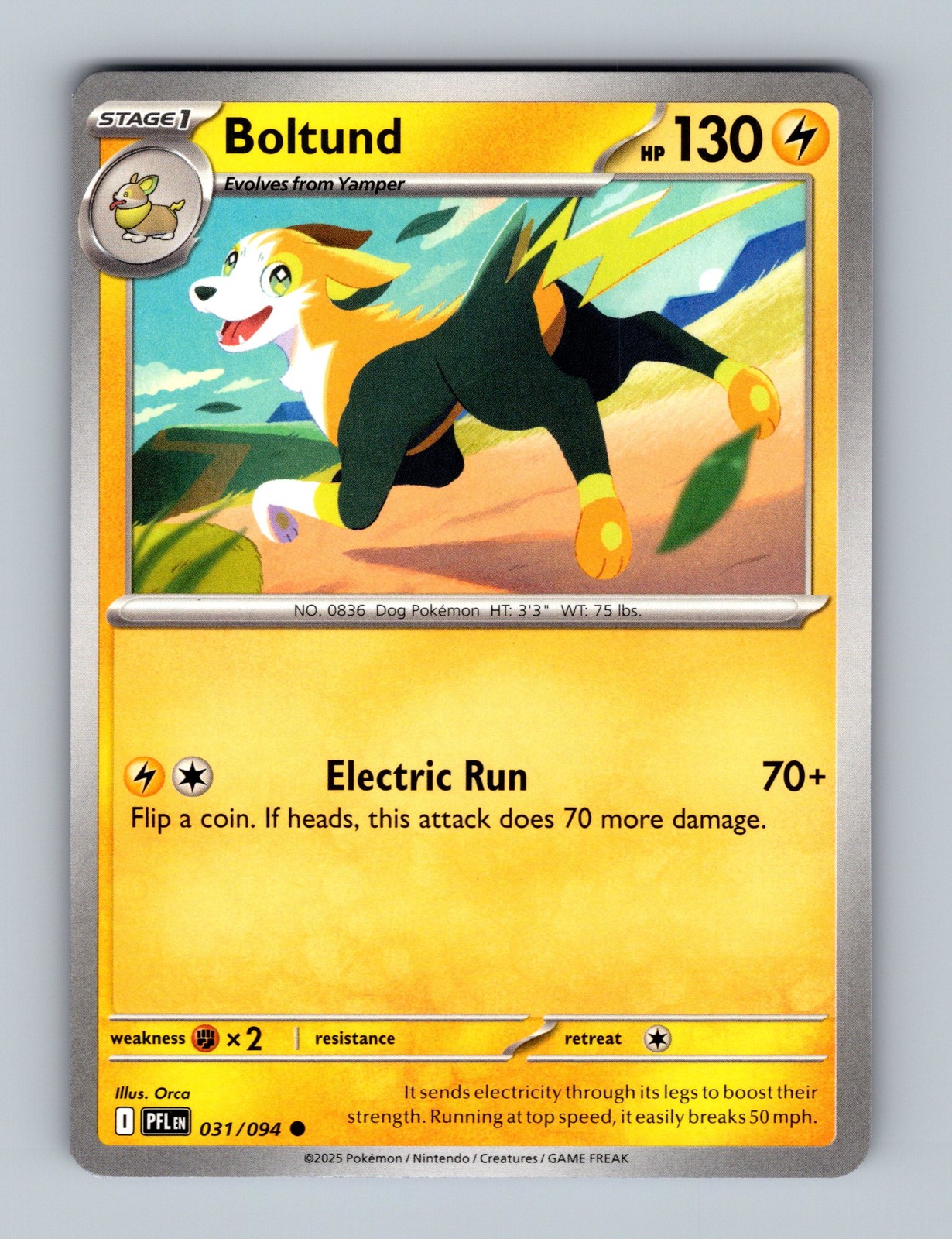 Boltund Normal Common ME02: Phantasmal Flames 031/094 NM