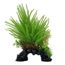 Fluval Aqualife Princess Pine Plant Mix 10 inch