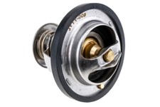 Thermostat Lexus IS