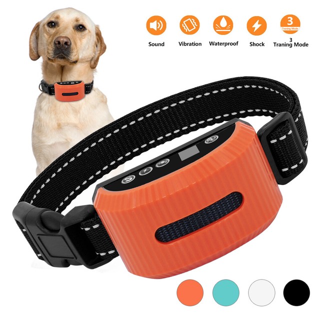 Training Collar Rechargeable Et Waterproof Notice En Francais