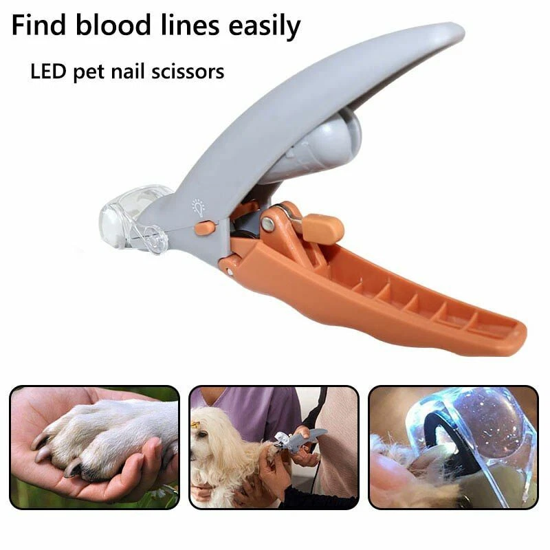 Top more than 159 dog nail clippers with light noithatsi.vn