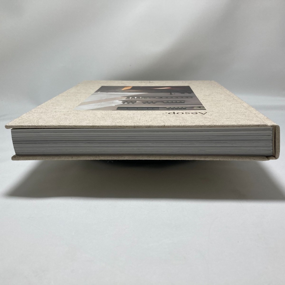 Aesop the book Hard Cover Rizzoli Jennifer Down Dennis Paphitis