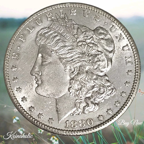 1880 S Morgan Silver Dollar Gem BU, Has Appeal, Part Of The Old West, Fast 🚢