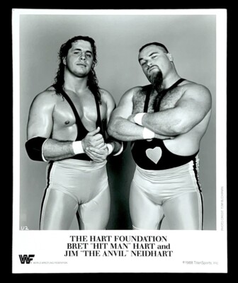 WWE HART FOUNDATION OFFICIAL LICENSED ORIGINAL 8X10 PROMO PHOTO