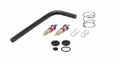 Syringe Repair Kit, Valve Core, Quick Clean, DCI 3076