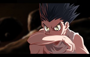 RÃ©sultat de recherche d'images pour "hunter x hunter"