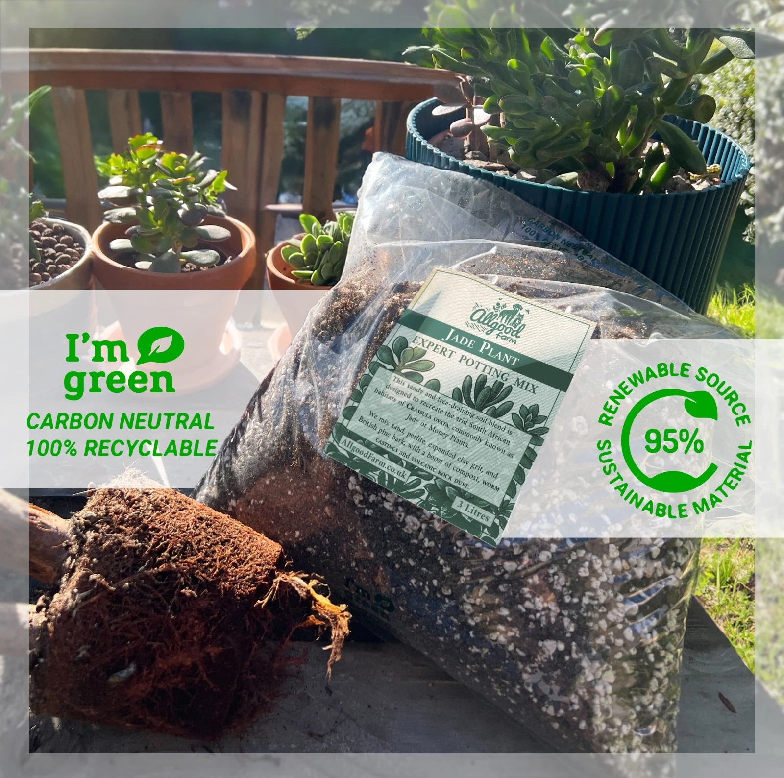 Jade Plant Premium Potting Soil Mix | Money Tree | Crassula 1L 3L 5L 10L  15L 30L | eBay UK