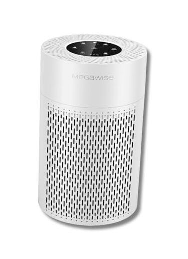 Silent Desktop Air Purifier with 3 Speeds for Home Office True HEPA Filter