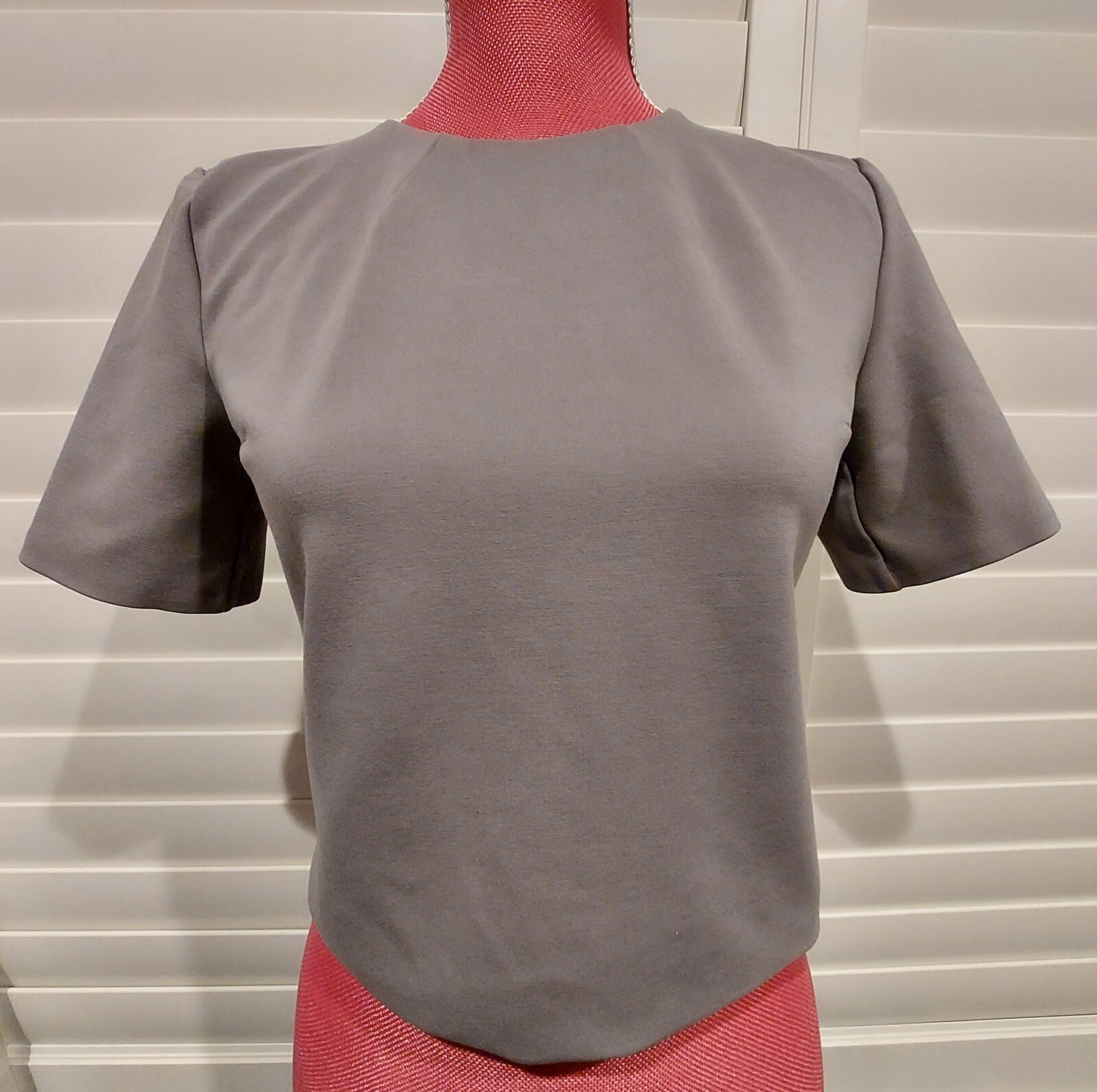 EXPRESS Blouse Top Women's Size XS Designer Gray Short Sleeve Lined Cropped
