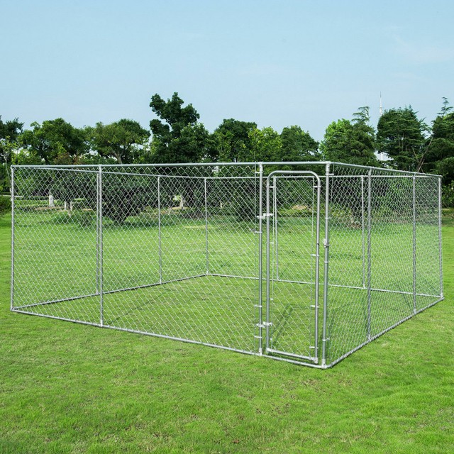 kennel dog outdoor