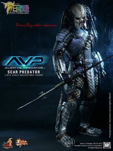 Perfect Hot Toys 1/6 Mms190 Avp Scar Predator 2.0 In Stock New - Picture 4 of 7
