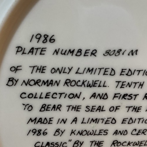 Vintage Collectible Norman Rockwell "The Professor" Plate# 3081M. Americana Gift - Picture 3 of 7
