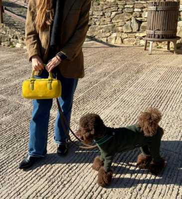 Tasche Handtasche small Handtasche Schulter und Schultergurt ECHT LEDER Wildleder