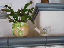 Gießkanne Keramik Steckgefäss  Dekoration  Deko