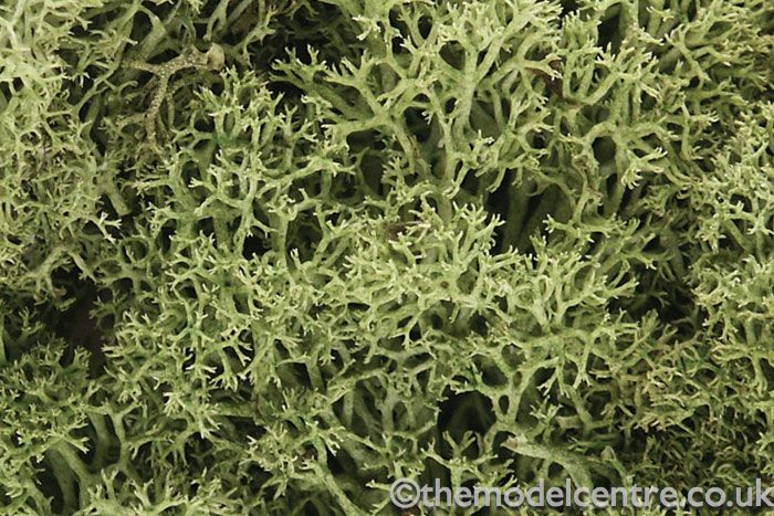L161 Woodland Scenics Spring Green Lichen TMC