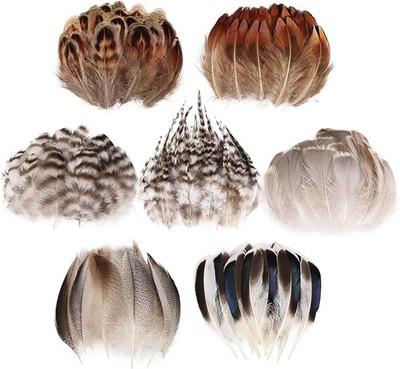 MAOFENG 210pcs 7 Styles Natural Bulk Feathers Assorted Mixed XYQMZH-06 