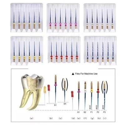 Dental Niti Heat Activated Endodontic Root Canal Files Machine Engine 13 Sizes
