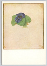 Albrecht Durer Postcard Bunch of Violets Vienna Austria Postcard
