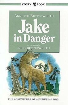 Jake in Danger (Hodder story book) von Butterworth, Annette | Buch | Zustand gut