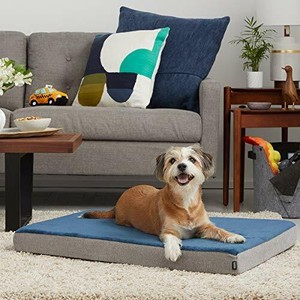 barkbox orthopedic gel memory foam dog bed