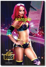 SASHA BANKS REFRIGERATOR MAGNET TOOL BOX LOCKER CHRISTMAS GAG GIFT MAN CAVE