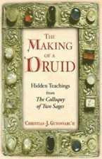 The Making of a Druid: Hidden Teachings from The Colloquy of Two Sages by Guyon