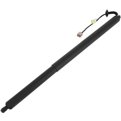 Powered Liftgate Lift Support Struts for Ford Escape 2013-2019