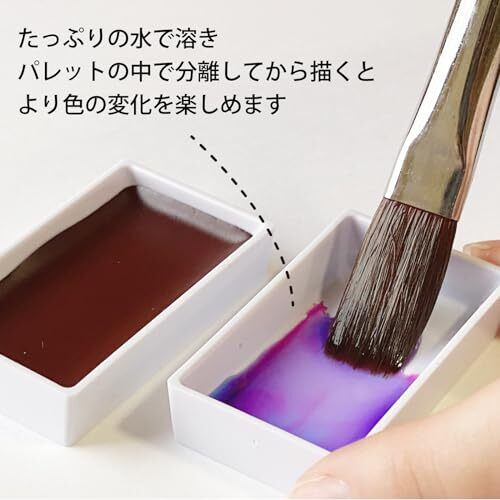 Kuretake Gansai Tambi Granulazione Set 5 colori MC20GN/5V vernice acquerello - Foto 4 di 7