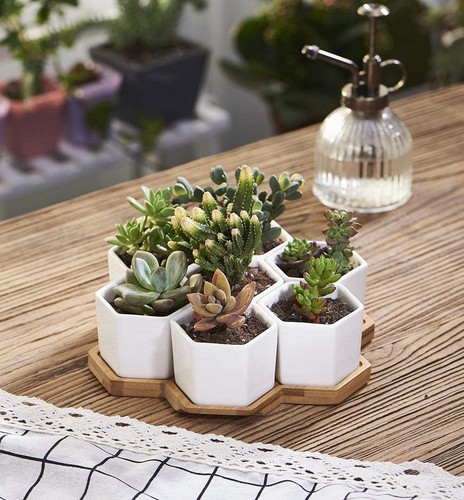 Planter Pots Indoor, 7 Pack 2.75 Inch Modern White Ceramic Small Hex Succulen... - Picture 7 of 7