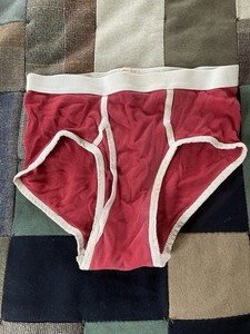 Vintage 80s Fruit Of The Loom Ringer Briefs Small 30-32 Distressed Worn Soft