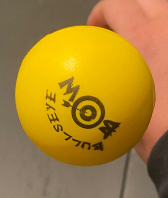 Brand New Bullseye Foamed Tipped Arrow For Beginners Yellow Round Foam Youth