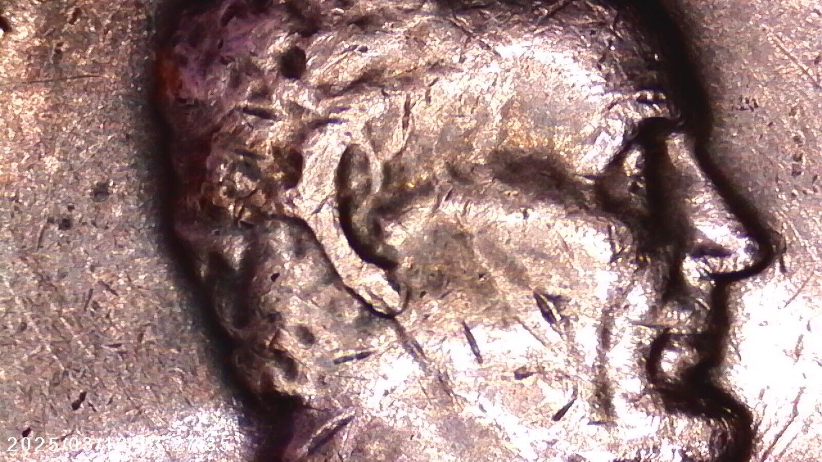 Bild 4 von 12