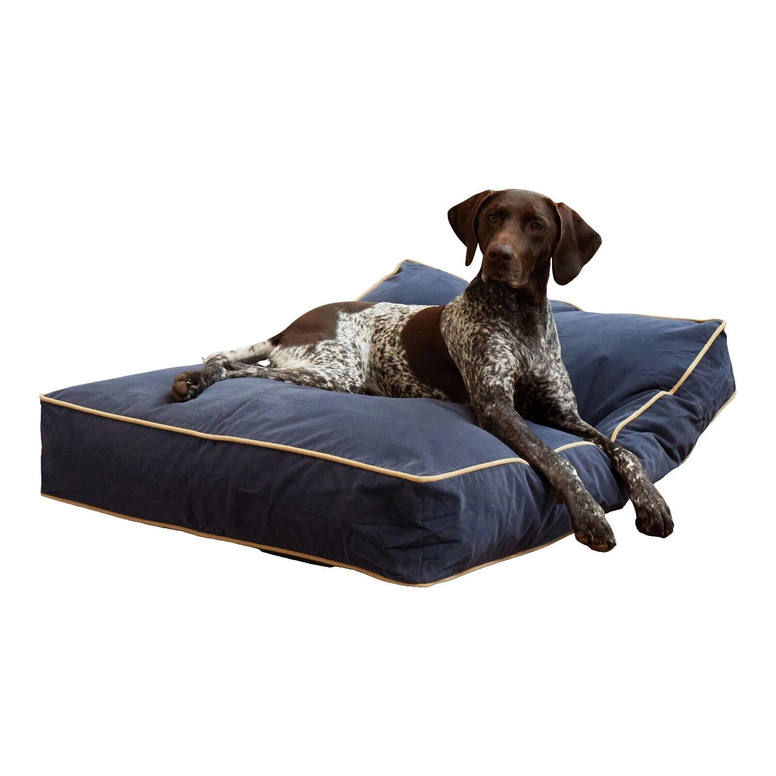 Portable Dog Pillows