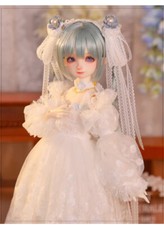 1/6 BJD Doll Resin Jointed Nude Body Female Girl Female Eyes Face Makeup Gift